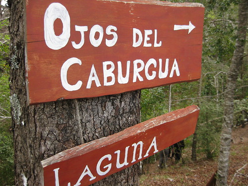 sign to the Ojos del Caburgua