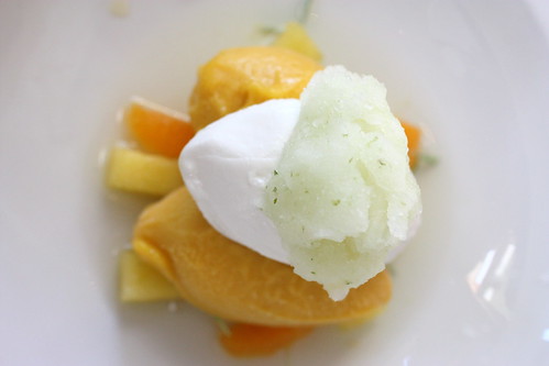 Mango and Coconut Sorbets
