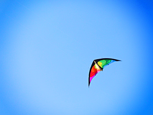 Our Kite