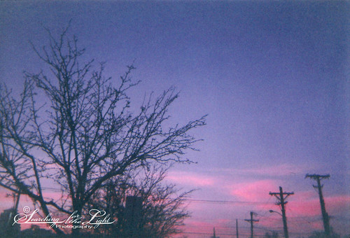 emmy's_disposable_01b