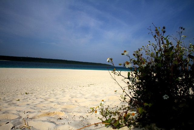 明日、この浜から。宮古島トライアスロン2011