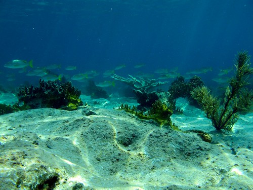 largest Bahamian Island