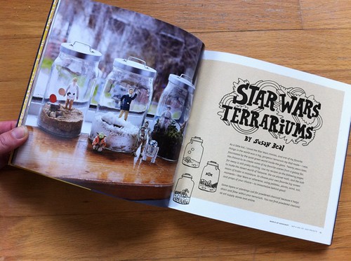 Star Wars Terrariums
