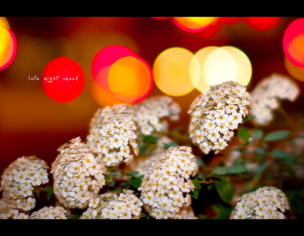 Project 365, 274/365, Day 274, bokeh, flowers, colours, nightshot, Sigma 50mm F1.4 EX DG HSM, 50mm,