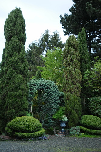 Topiary and arch - different shades of green, bushes, trees, Blue Ridge, Seattle, Washington, USA by Wonderlane