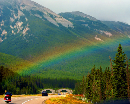 Rocky Mountain Rainbow