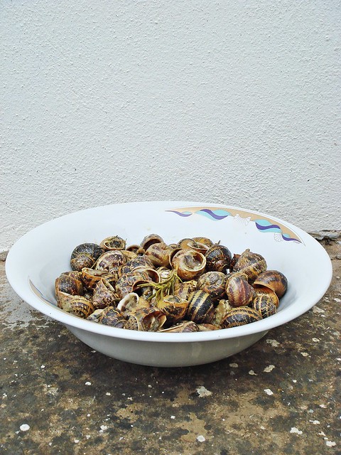Snails from Crete