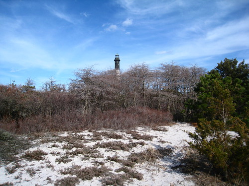 Lighthouse behind trees