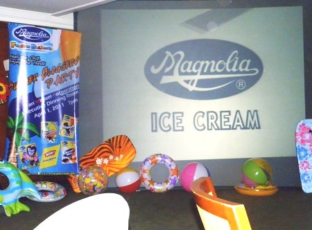 magnolia-blogger-summer-party, magnolia ice cream, san-miguel, summer-party