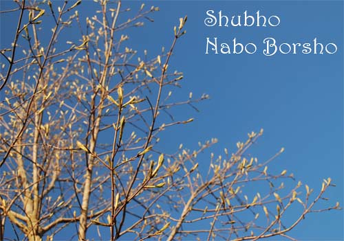 NaboBorsho1