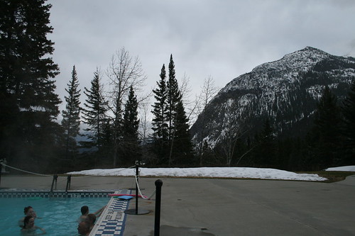 View From The Pool