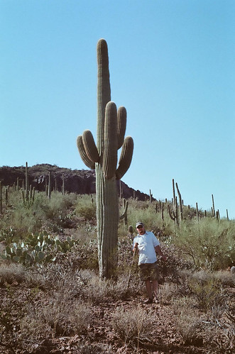 that's one tall cactus