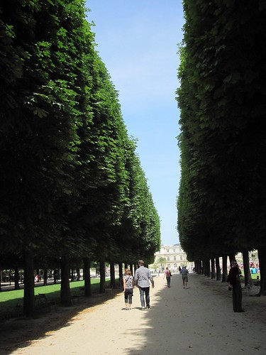 Jardin de Luxembourg: Trees