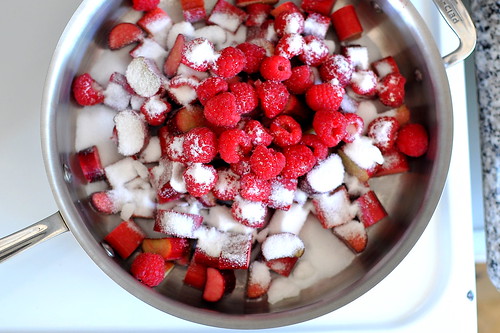 Rhubarb and Raspberry Crostata