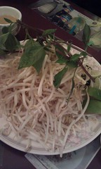 Bean sprouts and Thai Basil
