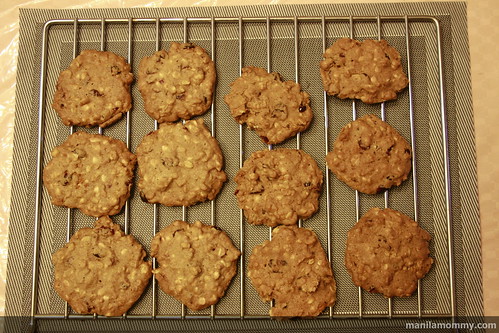 cranberry walnut cookies