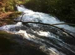  First Cascade of Falls on Last Branch of Tickanetley Creek 