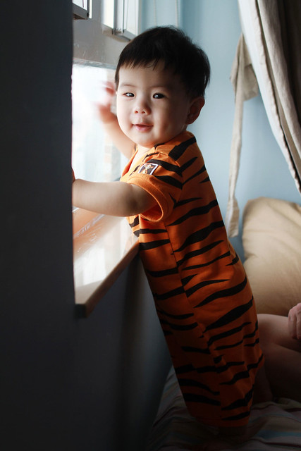 Baby Marcus Staring Outside the Window