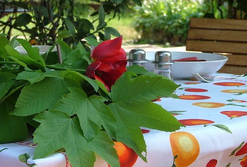 Tablescape red tulips