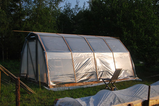 building a "temporary" greenhouse