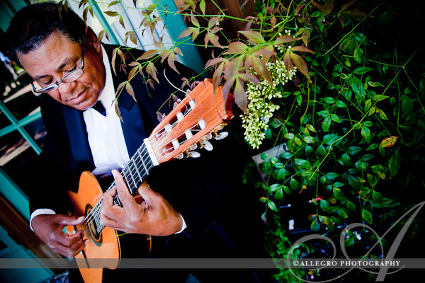 outdoor-art-club-wedding-mill-valley-ca- guitarist during cocktail hour