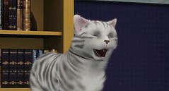 Sims 3 Pets 21