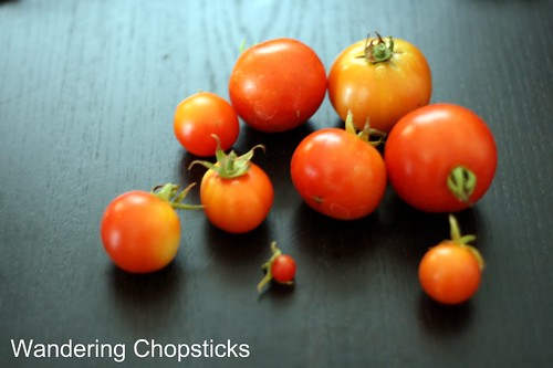 9.1 Tomato Harvest