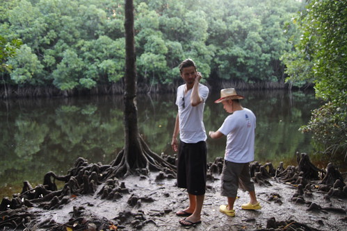 Ming Jin and Jeppe checking the mangrove
