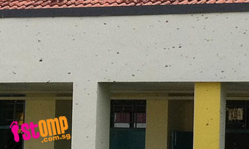 Help! Swarms of buzzing bees make school in Pasir Ris their home