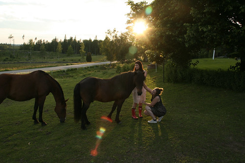 Hanging out with the horses