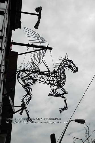 Wire Pegasus