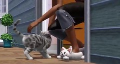 Sims 3 Pets 15