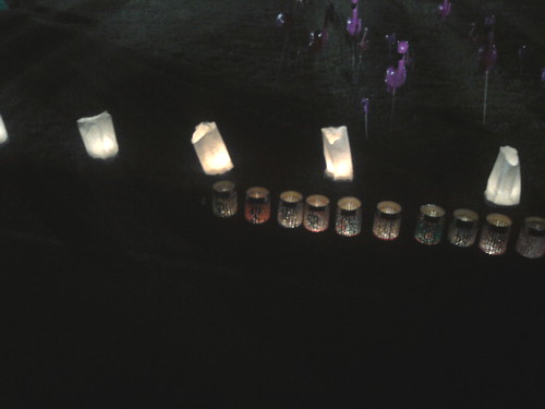 Relay For Life, 2011