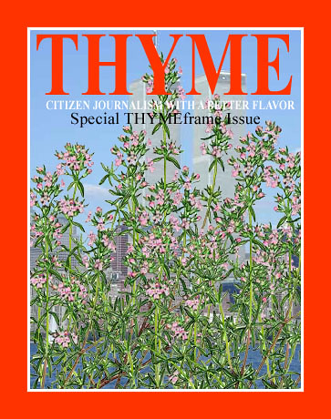 thyme0250