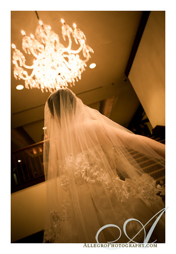 boston-downtown-hyatt-regency-wedding- bride's veil and grand staircase chandelier