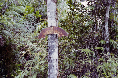Road mark in the jungle