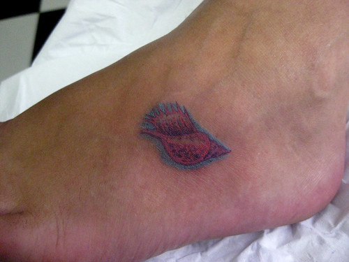 shell tattoo. Little Shell Tattoo by