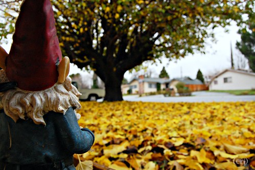 Gnome loves Fall