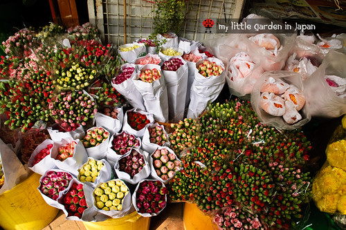 Hong-kong-flower-market-4