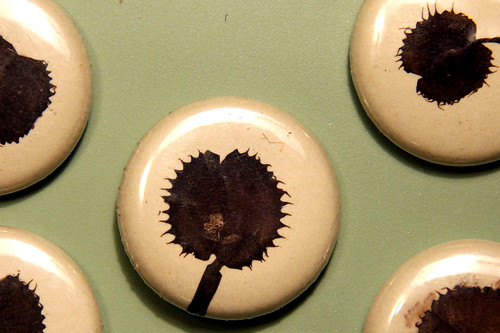 venus fly trap buttons