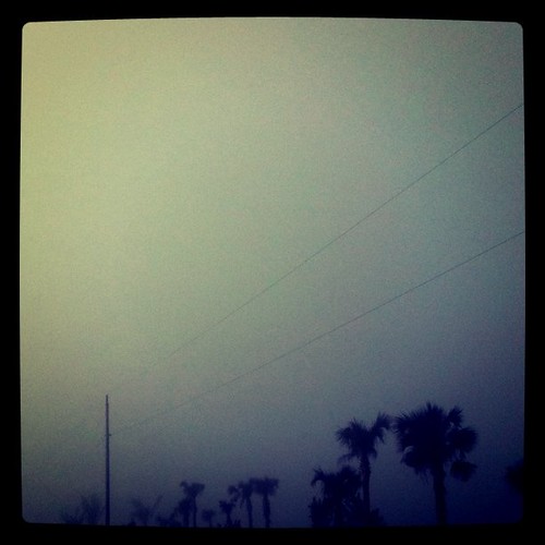 saturday morning fog