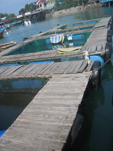 The fish pens that we chose lunch from