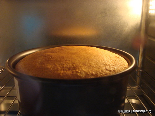 20101213 Sponge Cake-2 _18