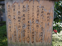 Shogun's road