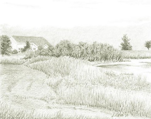 At the Edge of the Pond, graphite
