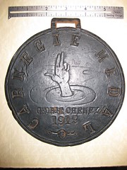 Cheney Carnegie Medal