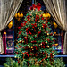 Christmas tree by Rosebud Prime in Chicago