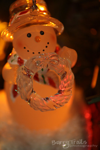 350-ornaments- snowman