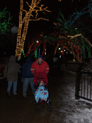 20101204-zoo-lights