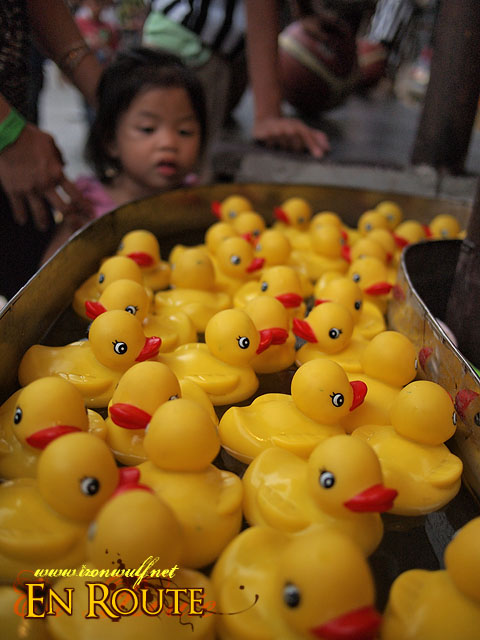 Pick a duck, any duck for a prize